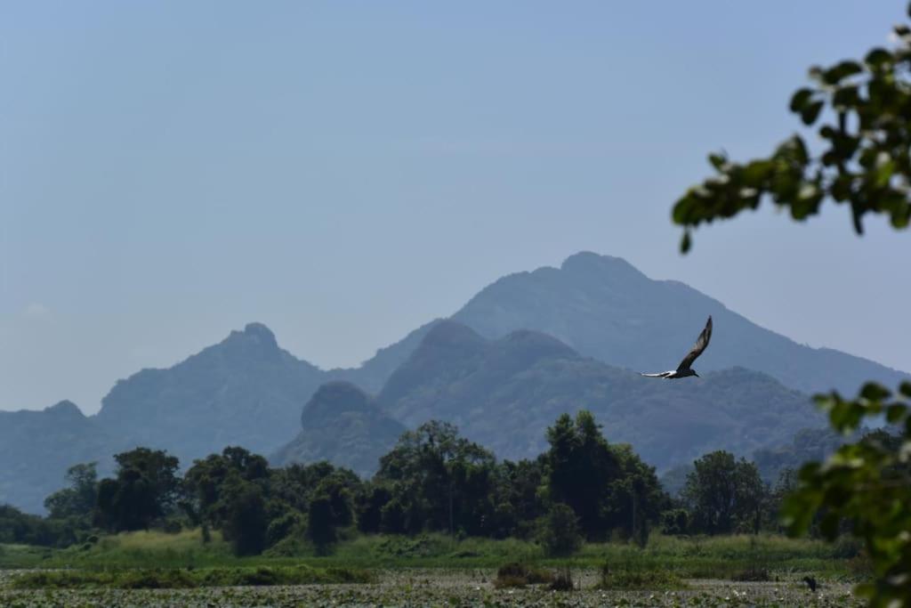 Sigiriya Village Home Stay Kültér fotó