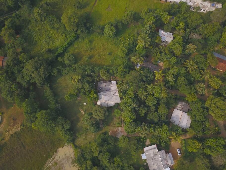 Sigiriya Village Home Stay Kültér fotó