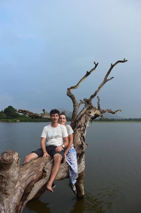 Sigiriya Village Home Stay Kültér fotó